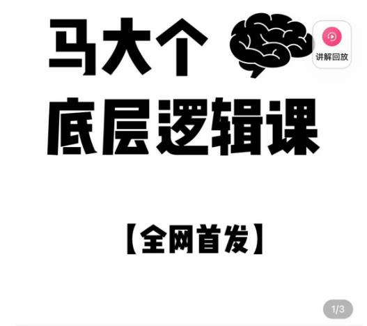 马大个·底层逻辑课，51节底层逻辑智慧课-价值1980元_微雨项目网