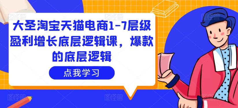 大圣淘宝天猫电商1-7层级盈利增长底层逻辑课，爆款的底层逻辑_微雨项目网