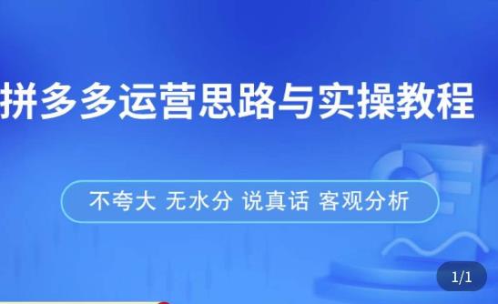 拼多多店铺运营思路与实操教程，快速学会拼多多开店和运营，少踩坑，多盈利_微雨项目网