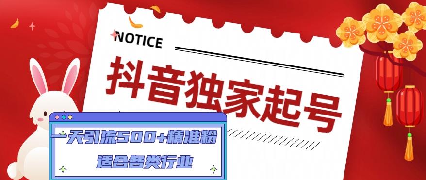 抖音独家起号，一天引流500+精准粉，适合各类行业（9节视频课）_微雨项目网