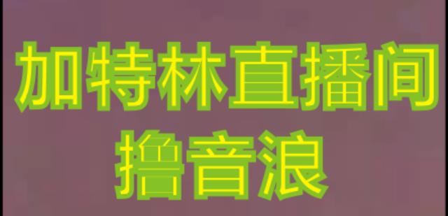 抖音加特林直播间搭建技术，抖音0粉开播，暴力撸音浪，2023新口子，每天800+【素材+详细教程】_微雨项目网