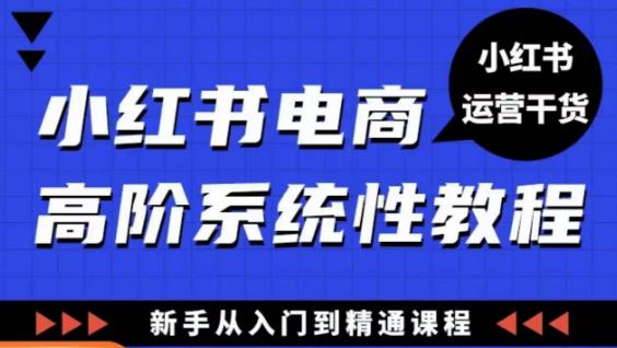 小红书电商高阶系统教程，新手从入门到精通系统课_微雨项目网