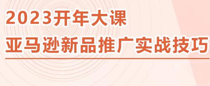 2023亚马逊新品推广实战技巧，线下百万美金课程的精简版，简单粗暴可复制，实操性强的推广手段_微雨项目网