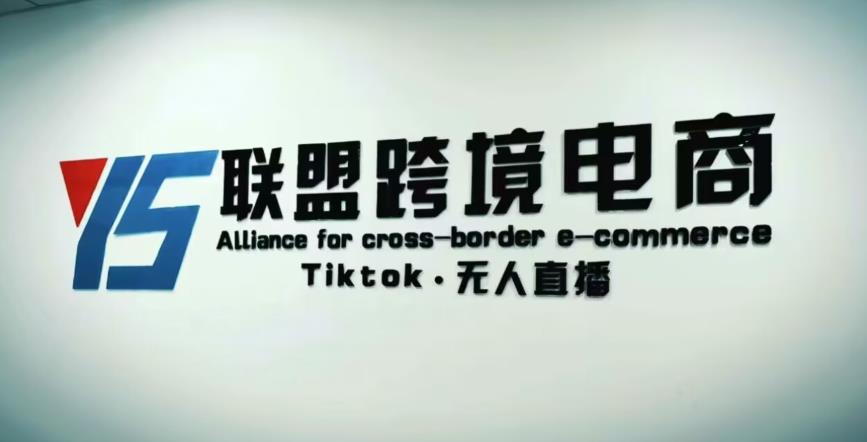 YS联盟·Tiktok无人直播，不出镜不剪辑不拍摄不发货无售后的跨境短视频躺赚玩法_微雨项目网