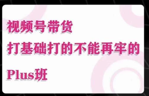 大播汇·视频号带货Puls班，视频号底层逻辑，起号自然流鱼塘等玩法_微雨项目网