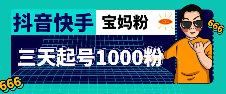 抖音快手三天起号涨粉1000宝妈粉丝的核心方法【详细玩法教程】_微雨项目网