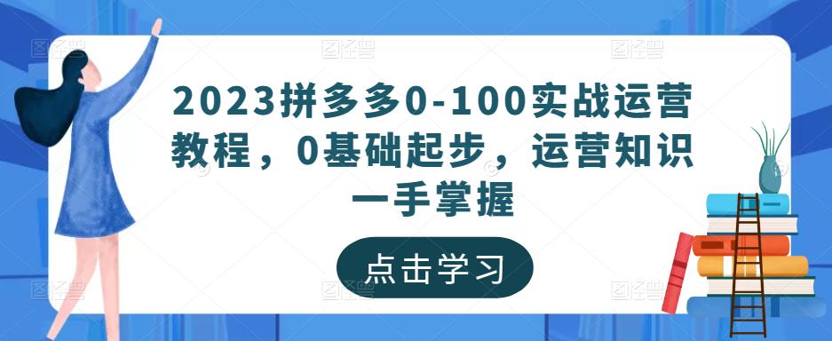 2023拼多多0-100实战运营教程，0基础起步，运营知识一手掌握_微雨项目网