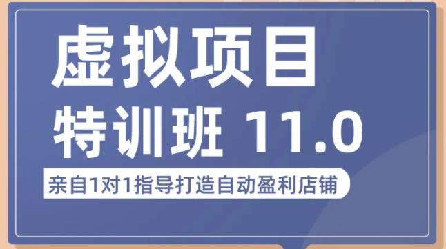 陆明明·虚拟项目特训班（10.0+11.0），0成本获取虚拟素材，0基础打造自动盈利店铺_微雨项目网