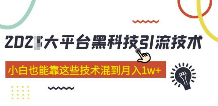 大平台黑科技引流技术，小白也能靠这些技术混到月入1w+(2022年的课程）_微雨项目网