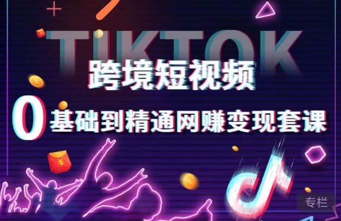 跨境短视频TIKTOK 0基础到精通网赚变现套课，跨境短视频独立站带货变现技巧_微雨项目网