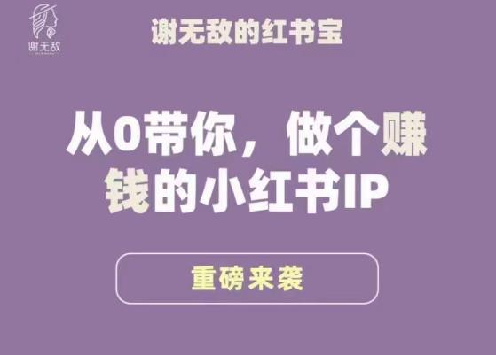 谢无敌·小红书运营大宝典，从0带你做个赚钱的小红书IP_微雨项目网