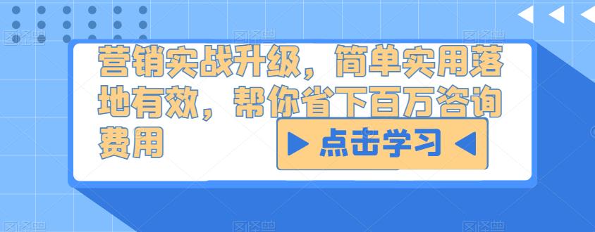 营销实战升级，简单实用落地有效，帮你省下百万咨询费用_微雨项目网