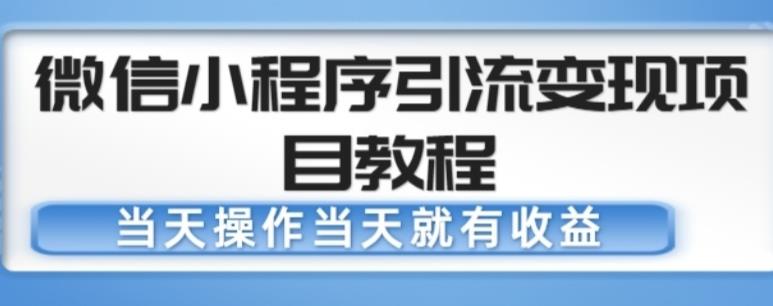 微信小程序引流变现项目教程，当天操作当天就有收益，变现不再是难事_微雨项目网