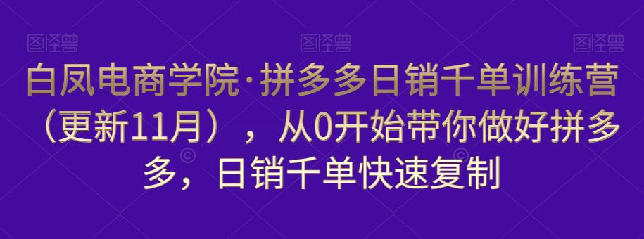 白凤电商学院·拼多多日销千单训练营，从0开始带你做好拼多多，日销千单快速复制（更新知2023年3月）_微雨项目网