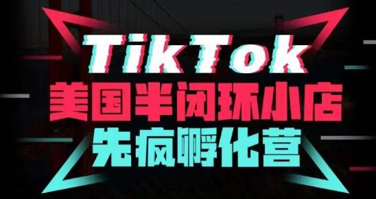 疯人院·TikTok美国半闭环小店孵化营，抢占TikTok美国蓝海市场，开店、运营、带货、投流全实操_微雨项目网