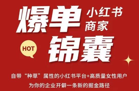 无畏·小红书商家爆单锦囊，掌握小红书各大规则，快速精准抢占行业和市场_微雨项目网