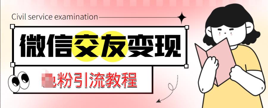 微信交友变现项目，吸引全网LSP男粉精准变现，小白也能轻松上手，日入500+_微雨项目网