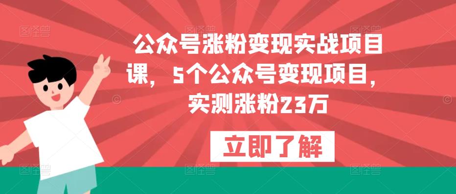 公众号涨粉变现实战项目课，5个公众号变现项目，实测涨粉23万_微雨项目网