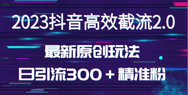 日引300＋创业粉，独家抖音高效截流2.0玩法（价值1280）_微雨项目网