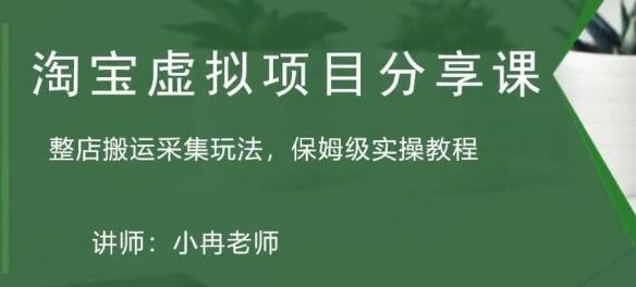 淘宝虚拟整店搬运采集玩法分享课：整店搬运采集玩法，保姆级实操教程_微雨项目网