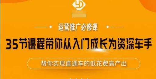 35节课程带你从入门成长为资深车手，让系统学习直通车成为可能，帮你实现直通车的低花费高产出_微雨项目网