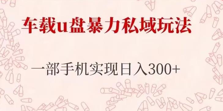 车载u盘暴力私域玩法，长期项目，仅需一部手机实现日入300+_微雨项目网