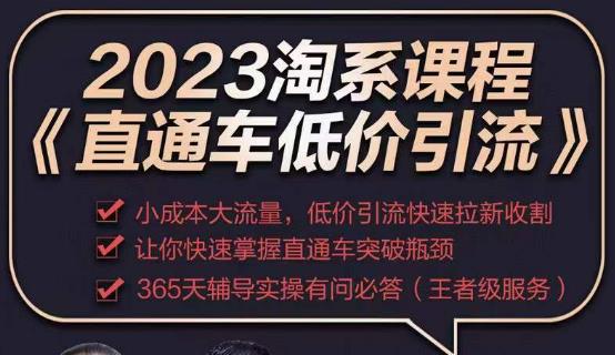 2023直通车低价引流玩法课程，小成本大流量，低价引流快速拉新收割，让你快速掌握直通车突破瓶颈_微雨项目网