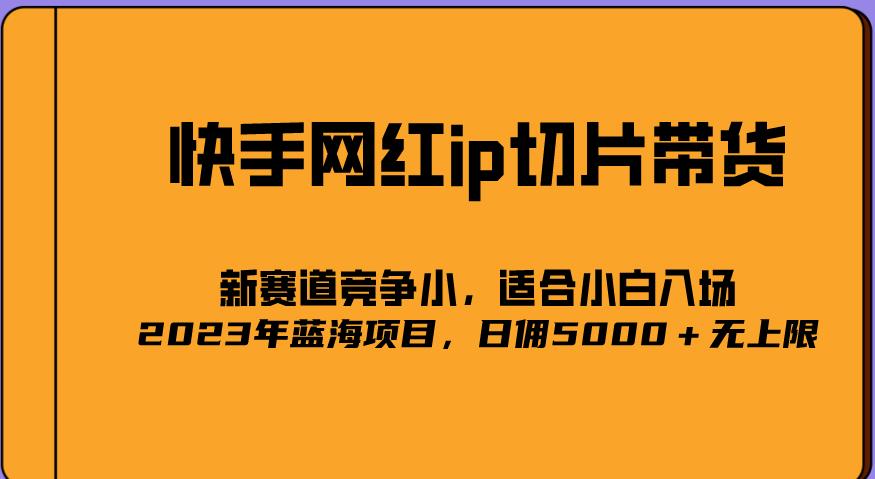 2023爆火的快手网红IP切片，号称日佣5000＋的蓝海项目，二驴的独家授权_微雨项目网