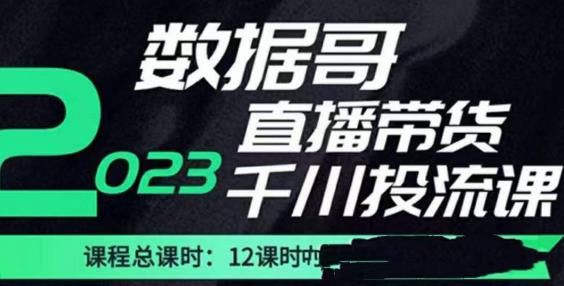 数据哥2023直播电商巨量千川付费投流实操课，快速掌握直播带货运营投放策略_微雨项目网