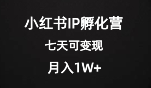 价值2000+的小红书IP孵化营项目，超级大蓝海，七天即可开始变现，稳定月入1W+_微雨项目网