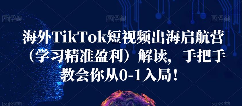 海外TikTok短视频出海启航营（学习精准盈利）解读，手把手教会你从0-1入局！_微雨项目网