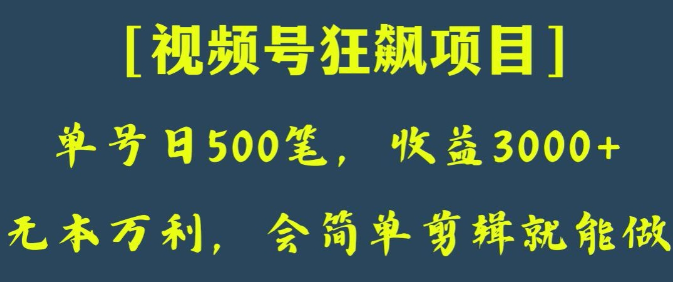 日收款500笔，纯利润3000+，视频号狂飙项目，会简单剪辑就能做【揭秘】_微雨项目网