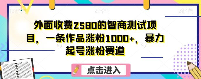 外面收费2580的智商测试项目，一条作品涨粉1000+，暴力起号涨粉赛道【揭秘】_微雨项目网