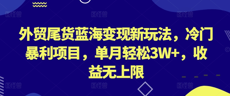 外贸尾货蓝海变现新玩法，冷门暴利项目，单月轻松3W+，收益无上限【揭秘】_微雨项目网