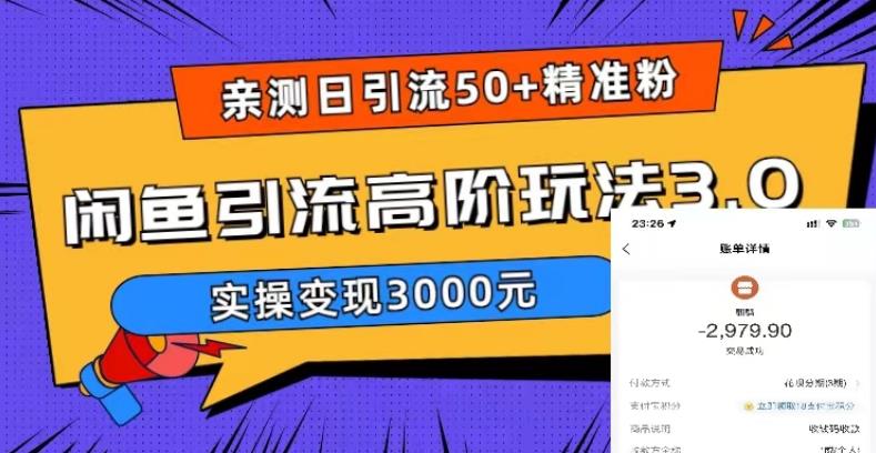 亲测日引50+精准粉，闲鱼引流高阶玩法3.0，实操变现3000元【揭秘】_微雨项目网