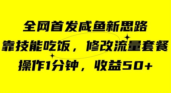 咸鱼冷门新玩法，靠“技能吃饭”，修改流量套餐，操作1分钟，收益50【揭秘】_微雨项目网