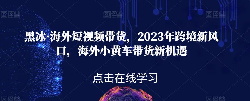 黑冰·海外短视频带货，2023年跨境新风口，海外小黄车带货新机遇_微雨项目网