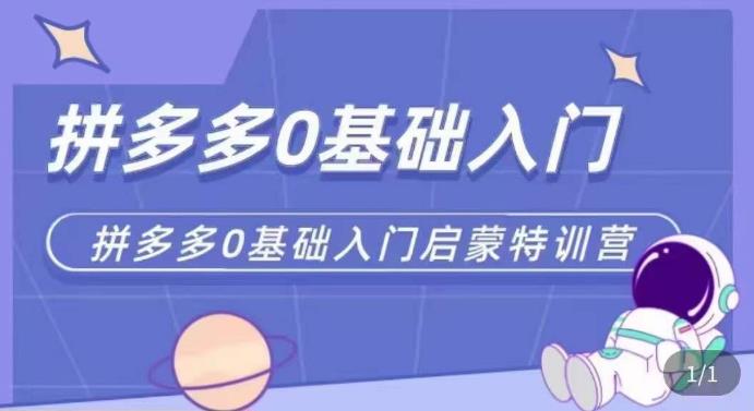 拼多多运营0-1实操特训营，拼多多0基础入门，从基础到进阶的可实操玩法_微雨项目网