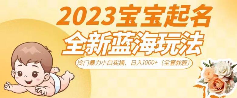 2023宝宝起名全新蓝海玩法，冷门暴力小白实操，日入1000+（全套教程）【揭秘】_微雨项目网