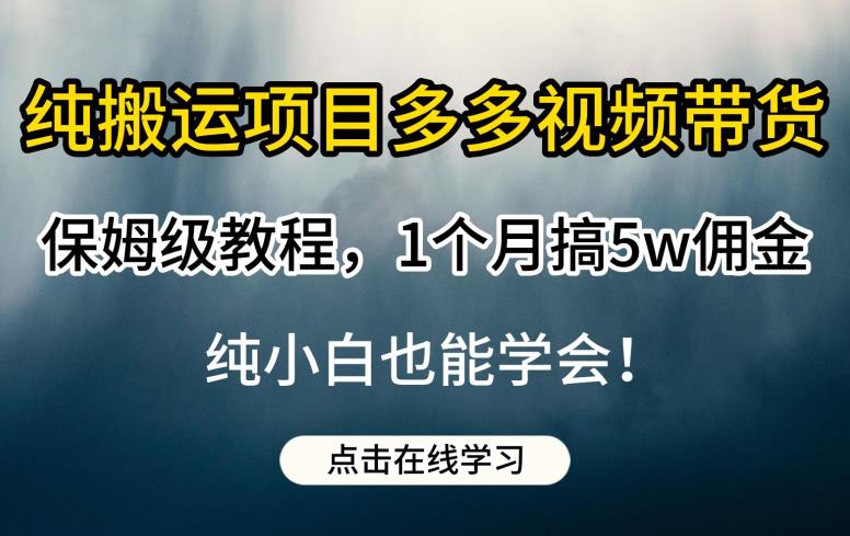 纯搬运项目多多视频带货保姆级教程，1个月搞5w佣金，纯小白也能学会【揭秘】_微雨项目网