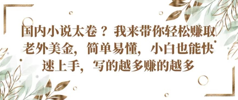 国内小说太卷 ?带你轻松赚取老外美金，简单易懂，小白也能快速上手，写的越多赚的越多【揭秘】_微雨项目网