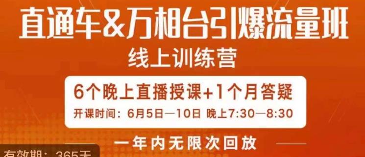 直通车&万相台引爆流量班，6天打通你开直通车·万相台的任督二脉_微雨项目网