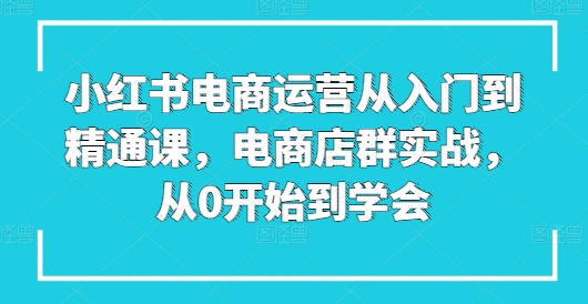 小红书电商运营从入门到精通课，电商店群实战，从0开始到学会_微雨项目网