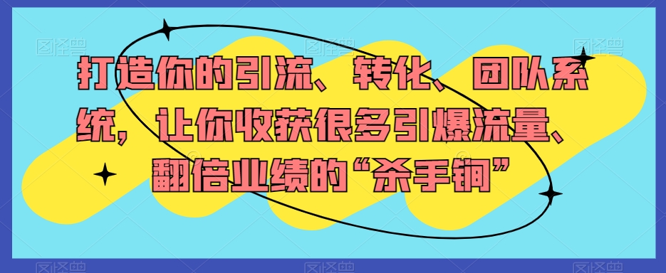 打造你的引流、转化、团队系统，让你收获很多引爆流量、翻倍业绩的“杀手锏”_微雨项目网