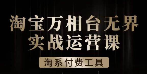 沧海·淘系万相台无界实战运营课，万相台无界实操全案例解析_微雨项目网