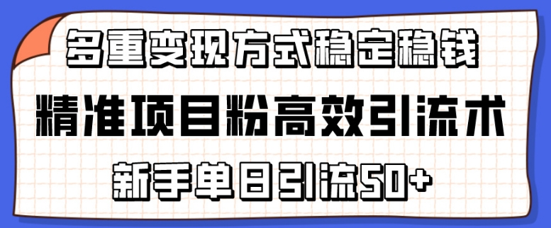 精准项目粉高效引流术，新手单日引流50+，多重变现方式稳定赚钱【揭秘】_微雨项目网