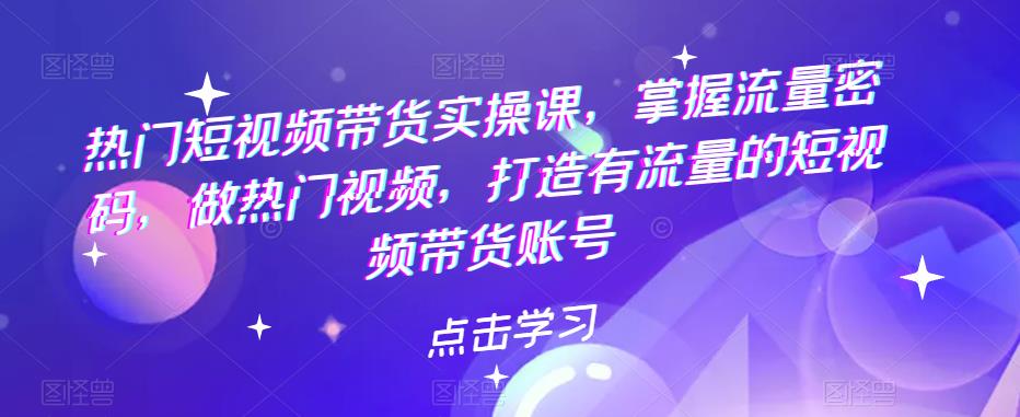 热门短视频带货实操课，掌握流量密码，做热门视频，打造有流量的短视频带货账号_微雨项目网