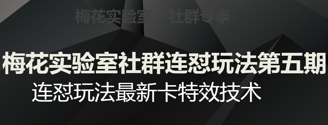 梅花实验室社群连怼玩法第五期，视频号连怼玩法最新卡特效技术_微雨项目网