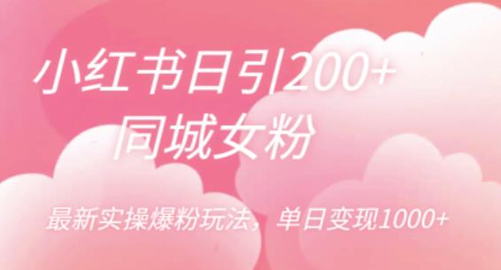 小红书日引200+同城女粉，最新实操爆粉玩法，单日变现1000+【揭秘】_微雨项目网