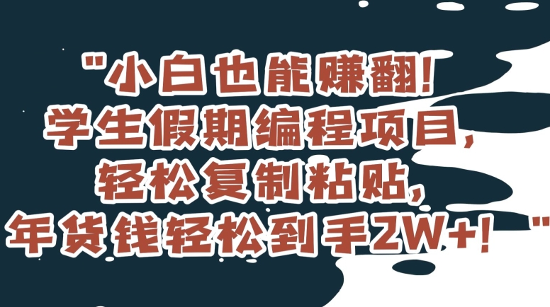 小白也能赚翻！学生假期编程项目，轻松复制粘贴，年货钱轻松到手2W+【揭秘】_微雨项目网